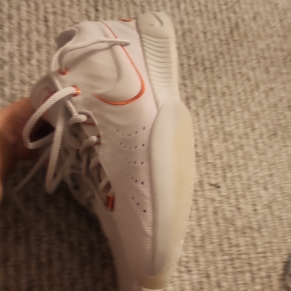 Nike LeBrons 21 Akoya Sneakers Size 10